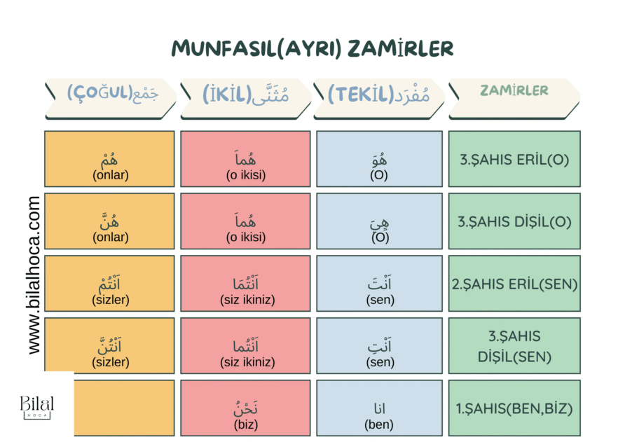 Arapça Kişi Zamirleri: Kolay Kavrama Rehberi [2026]