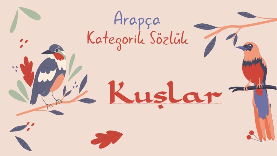 Arapçada Kuşun Önemi: Anlam Katmanları ve İncelikler [2026]