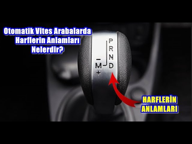 Arabada Tivit Anlamı: Uzman Açıklaması ve Kritik İpuçları
