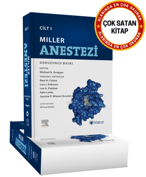 Anestezi 2 Çıkacak mı? Doğrulanmış Bilgiler [2026] - Kapak Görseli